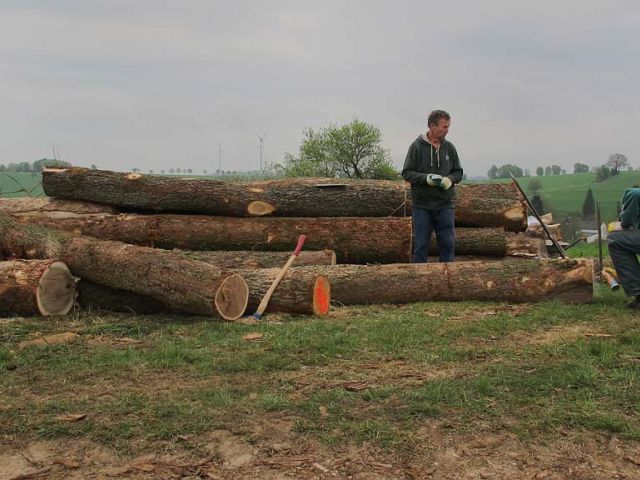 sae_11_20150126_2002829853