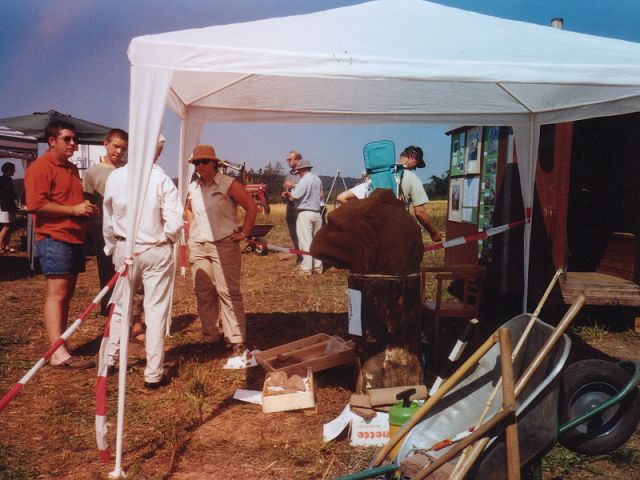 t_15_20150124_1691205596