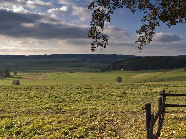 so_2_20150123_1623093059