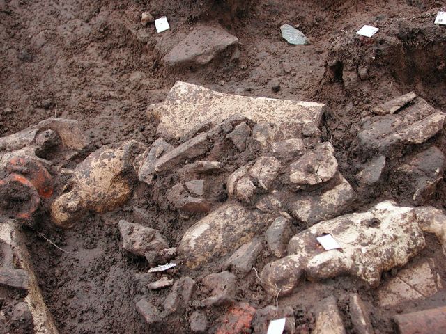 gr_8_20150122_1183932175