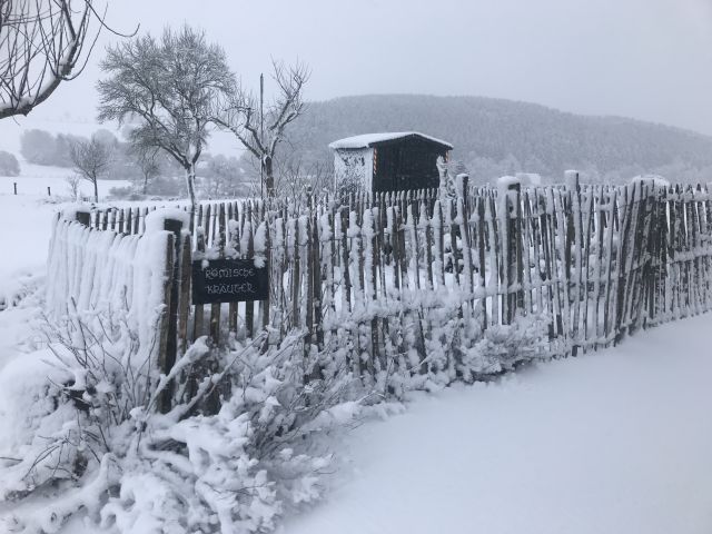 winter_2019_20_3_20200303_1912849912