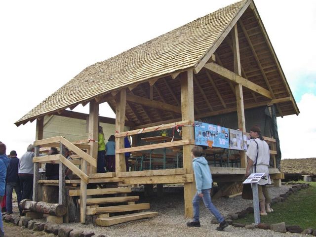 ve_49_20150124_1956686387