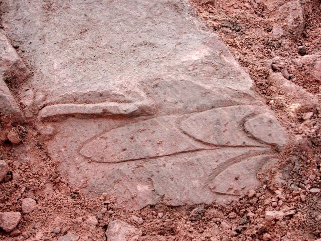 gr_22_20150122_1295856454