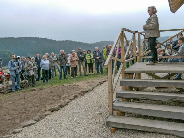 6pf_141_20150126_1803323997