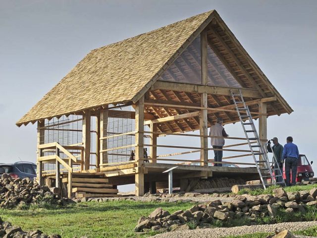 wi_13_20150126_1476412338