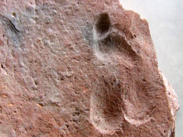 a_19_20150123_1126299262