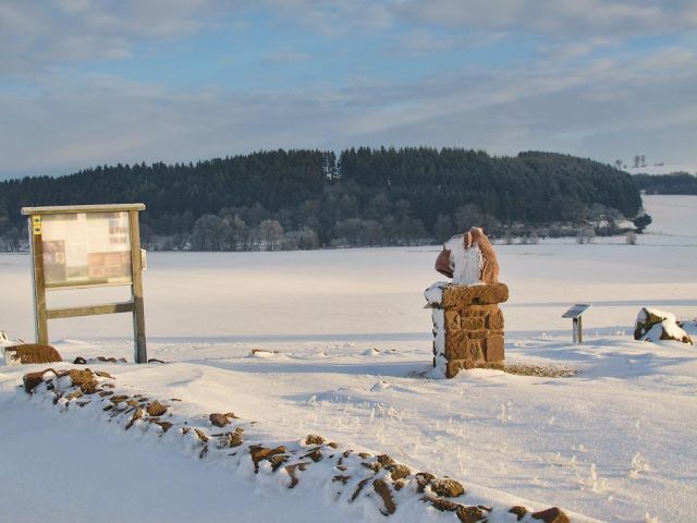 so_4_20150123_1835713163