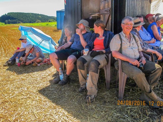 grabung_2016_5_20160901_1038625254