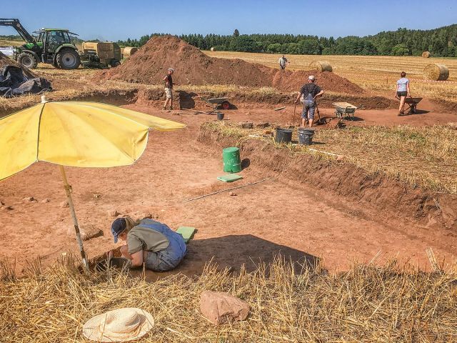 grabung_2019_2_20190914_1867123574