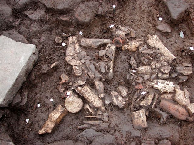 gr_3_20150122_1203428448